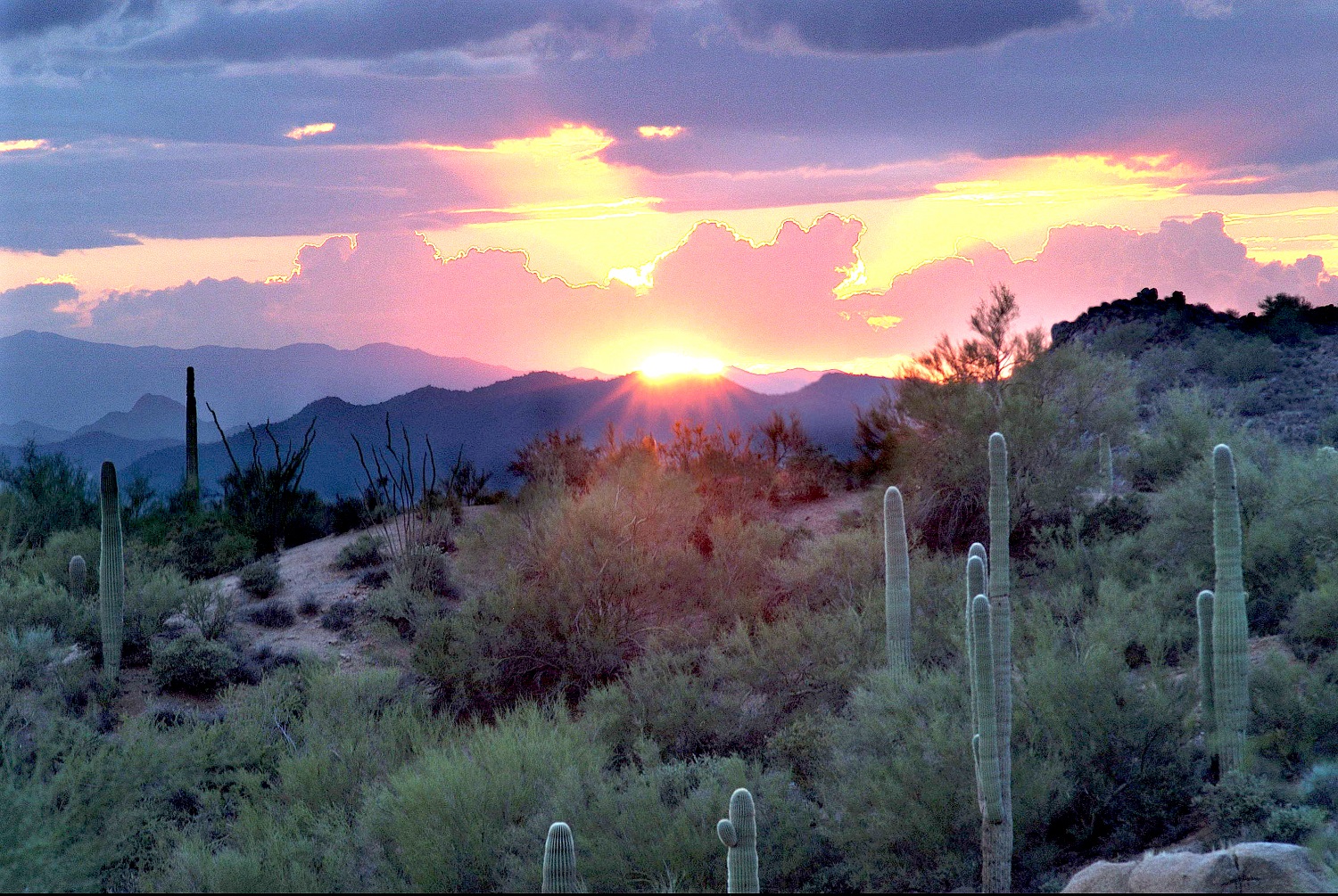 Phoenix Desert Sunset